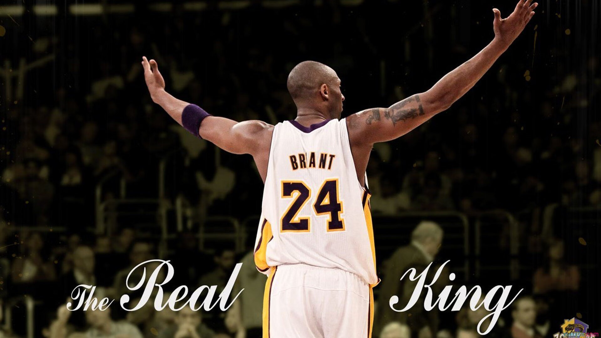 体育精神：永不放弃，体育精神永不言败